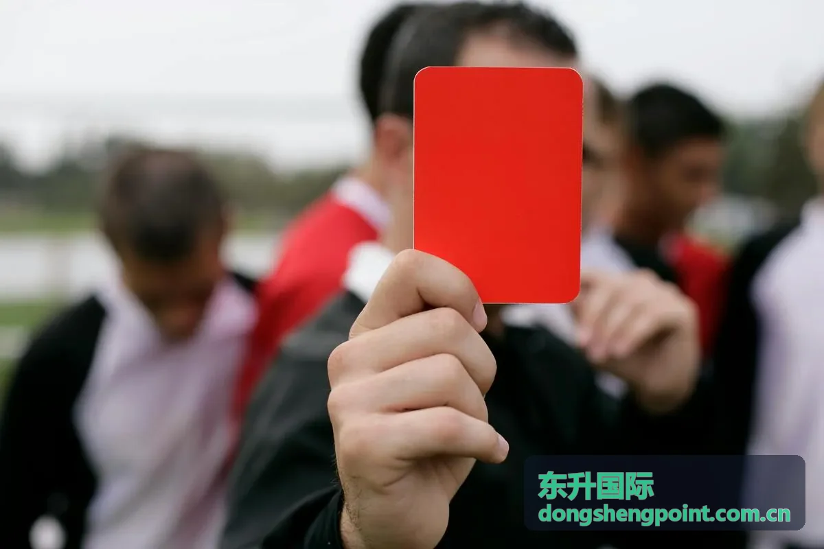 东升国际安全中心